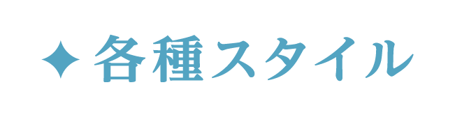 各種スタイル
